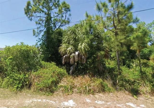 Land for sale at Cillette Ave, NORTH PORT, FL 34288 | MLS# O6447873