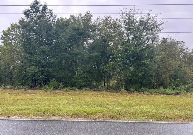 Land for sale at Tbd NE 110th Street, BRONSON, FL 32621 | MLS# GC544017