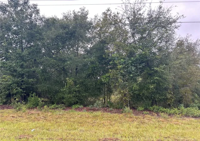 Photo 2 of Land for sale at Tbd NE 110th Street, Bronson, FL 32621 | MLS# GC544017 | Listing updated on 2026-10-07