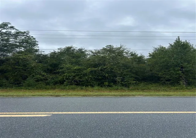 Land for sale at Tbd NE 80th Avenue, BRONSON, FL 32621 | MLS# GC544018