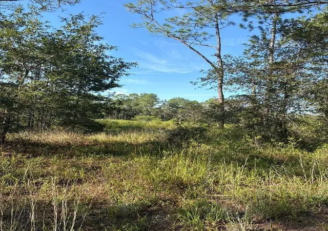 Photo 3 of Land for sale at 123 Road Ln, Bronson, FL 32621 | MLS# OM733586 | Listing updated on 2026-10-12