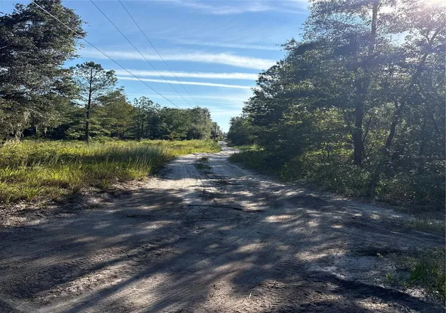 Photo 3 of Land for sale at 123 Road Ln, Bronson, FL 32621 | MLS# OM733586 | Listing updated on 2026-10-12