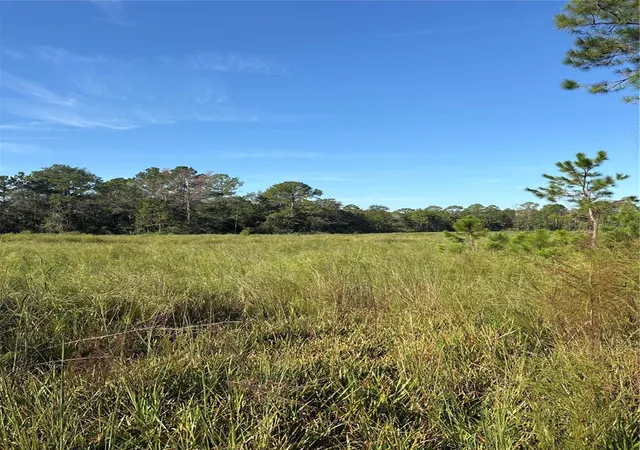 Photo 4 of Land for sale at 123 Road Ln, Bronson, FL 32621 | MLS# OM733586 | Listing updated on 2026-10-12