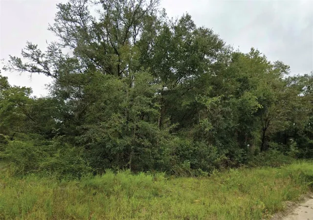 Land for sale at NE 2nd Place, WILLISTON, FL 32696 | MLS# O6447886