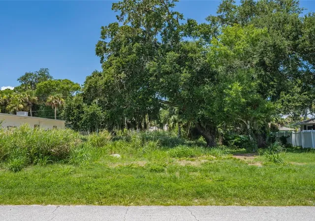 Photo 1 of Land for sale at 2414 India Palm Dr, Edgewater, FL 32141 | MLS# O6447900 | Listing updated on 2026-10-07