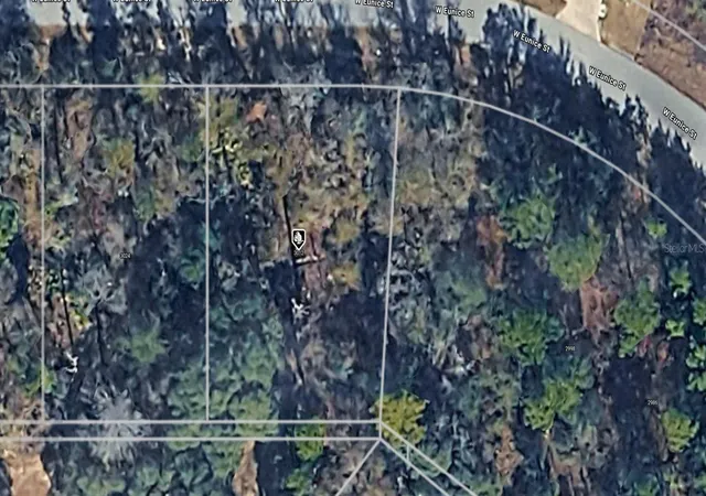 Photo 3 of Land for sale at 3012 W Eunice Dr, Dunnellon, FL 34433 | MLS# A4708780 | Listing updated on 2026-10-07