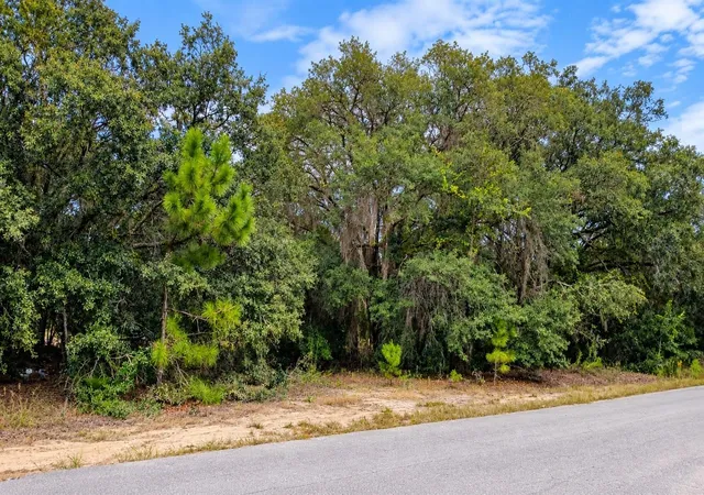 Land for sale at Tbd SE Malauka Loop Run Rd, OCKLAWAHA, FL 32179 | MLS# O6447955