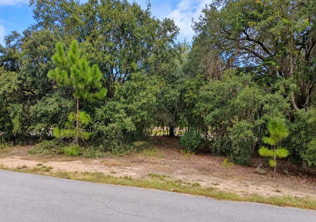 Photo 2 of Land for sale at Tbd SE Malauka Loop Run Rd, Ocklawaha, FL 32179 | MLS# O6447955 | Listing updated on 2026-10-07