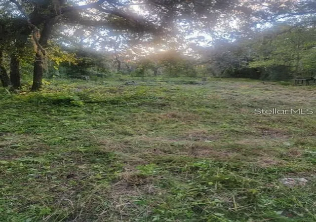 Photo 3 of Land for sale at 10145 Lorell St, New Port Richey, FL 34654 | MLS# TB8555750 | Listing updated on 2026-10-07