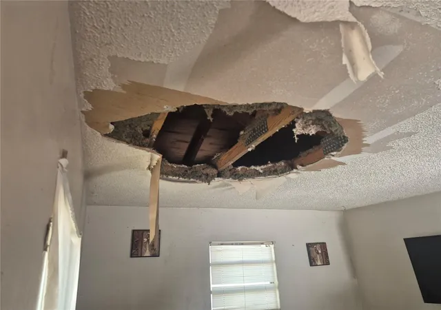 Photo 4 of Single family home for sale at 1909 W Palmetto St, Tampa, FL 33607 | MLS# TB8555755 | Listing updated on 2026-10-20