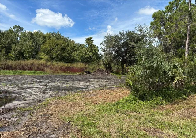 Photo 4 of Land for sale at 864 Rasley Rd, New Smyrna Beach, FL 32168 | MLS# V4951689 | Listing updated on 2026-10-08