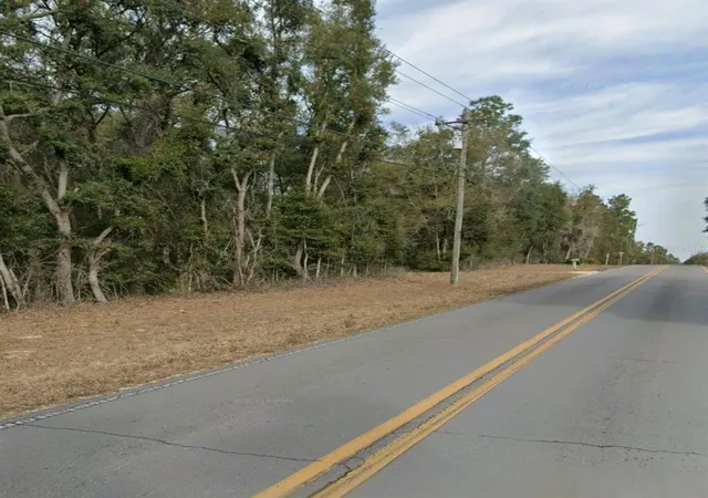 Photo 4 of Land for sale at Northeast 105th Ave, BRONSON, FL 32621 | MLS# OM733621 | Listing updated on 2026-10-08