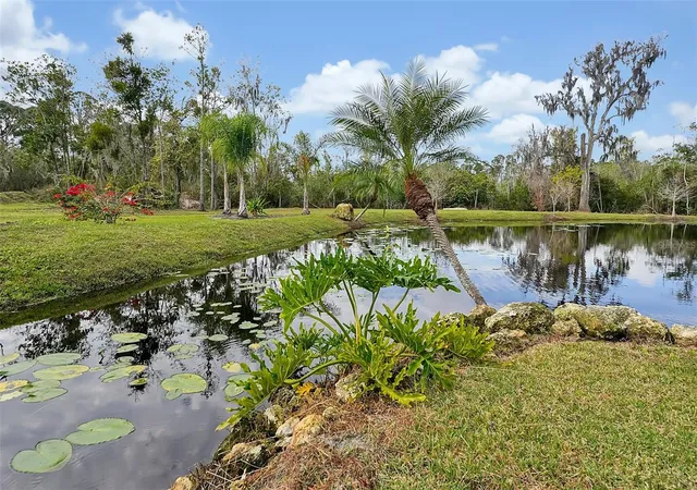 Photo 4 of Land for sale at 3381 Lake Buffum Rd E, Fort Meade, FL 33841 | MLS# P4940095 | Listing updated on 2026-10-08