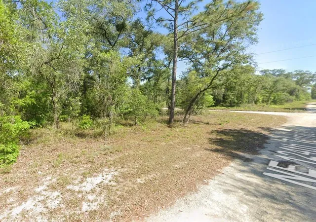 Photo 1 of Land for sale at Lot Ne 6 124 Street, Williston, FL 32696 | MLS# OM733628 | Listing updated on 2026-10-08