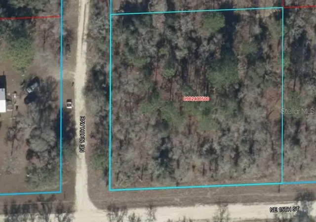 Photo 2 of Land for sale at Lot Ne 6 124 Street, Williston, FL 32696 | MLS# OM733628 | Listing updated on 2026-10-08