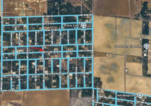 Photo 3 of Land for sale at Lot NE 6 124 Street, Williston, FL 32696 | MLS# OM733628 | Listing updated on 2026-10-08