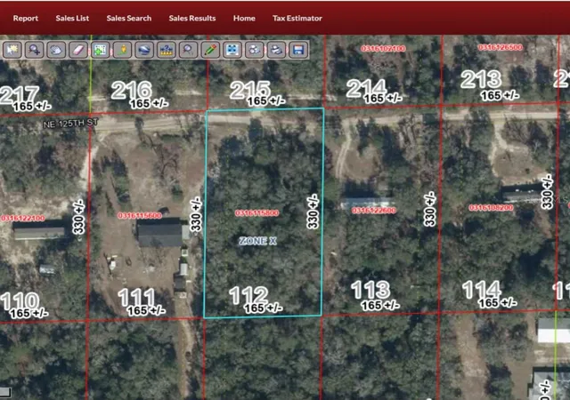 Land for sale at 125 Street, BRONSON, FL 32621 | MLS# O6448066