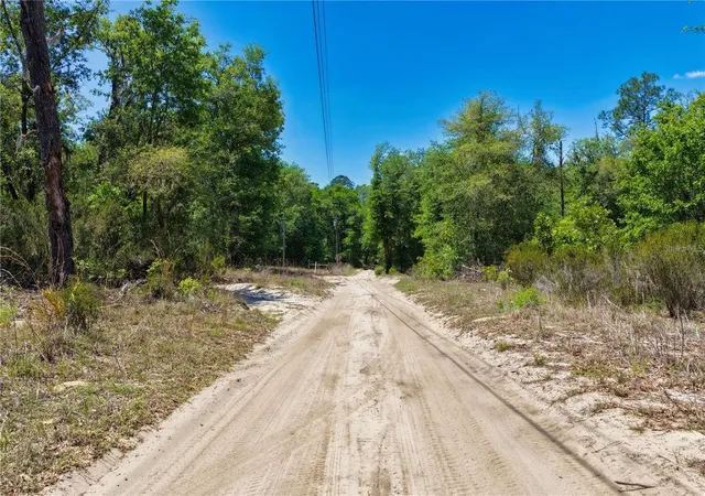 Photo 2 of Land for sale at 125 Street, Bronson, FL 32621 | MLS# O6448066 | Listing updated on 2026-10-08