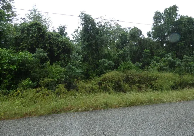 Photo 1 of Land for sale at 0 Marley Ave, New Port Richey, FL 34654 | MLS# W7890172 | Listing updated on 2026-10-16