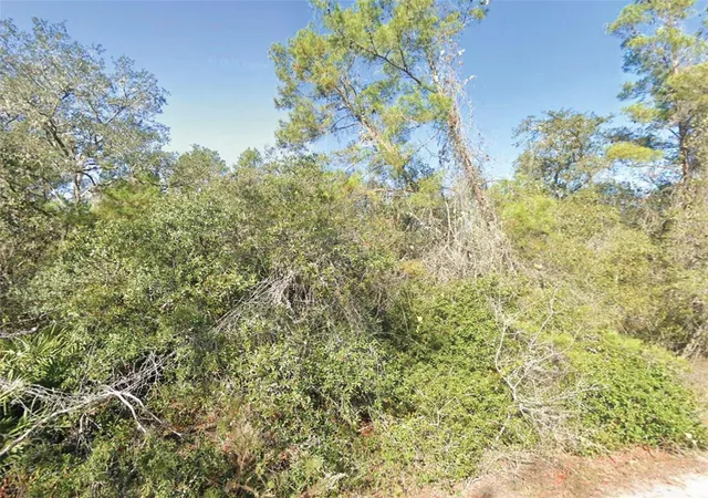 Photo 1 of Land for sale at Fisher Trl, Ocklawaha, FL 32179 | MLS# O6448138 | Listing updated on 2026-10-08