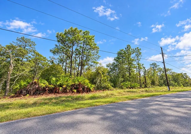 Photo 2 of Land for sale at 13052 Jaywalk Rd, Weeki Wachee, FL 34614 | MLS# W7890175 | Listing updated on 2026-10-08