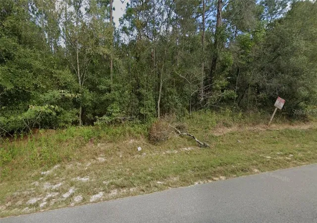 Land for sale at 7059 Clemson St, Keystone Heights, FL 32656 | MLS# CC858424