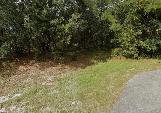 Land for sale at 5506 Capulin St, Keystone Heights, FL 32656 | MLS# CC858432
