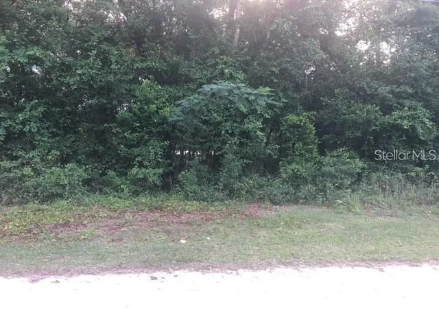 Photo 2 of Land for sale at 170 Ne 169th Avenue, Silver Springs, FL 34488 | MLS# TB8556013 | Listing updated on 2026-10-08