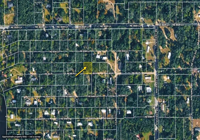 Photo 2 of Land for sale at 0 Ne 85th Place, Silver Springs, FL 34488 | MLS# TB8556027 | Listing updated on 2026-10-08