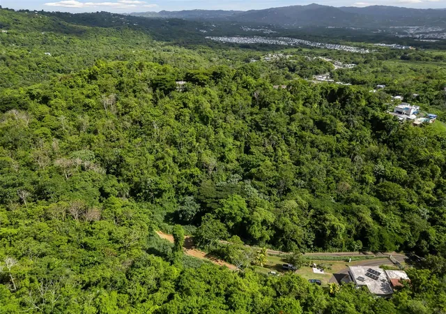 Photo 2 of Land for sale at 181 Km 310 Lote 7 Bo Quebrada, San Lorenzo, PR 00754 | MLS# PR9124823 | Listing updated on 2026-10-08