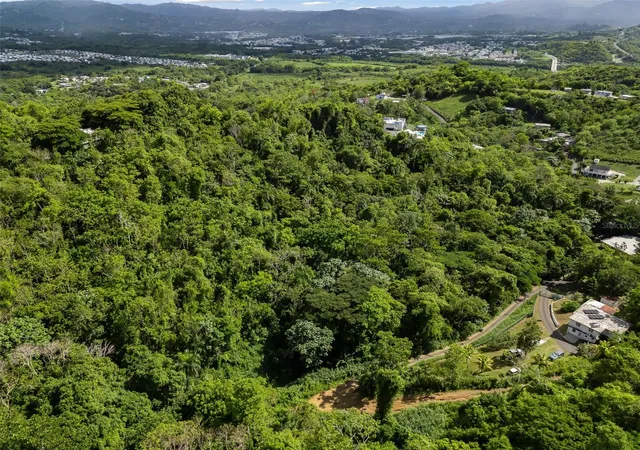 Photo 3 of Land for sale at 181 Km 310 Lote 7 Bo Quebrada, San Lorenzo, PR 00754 | MLS# PR9124823 | Listing updated on 2026-10-08