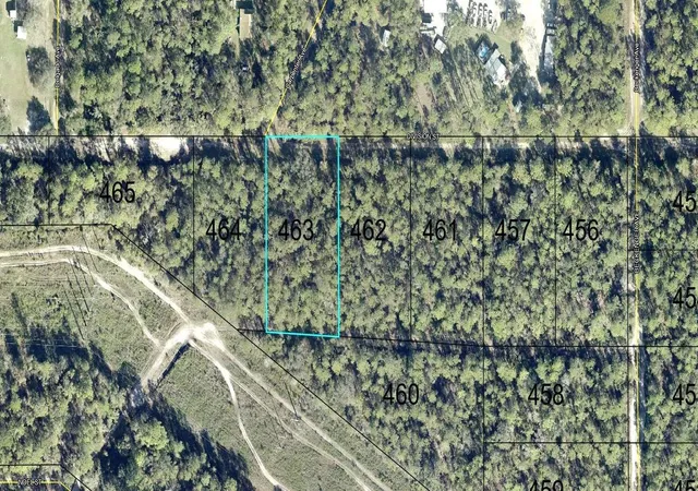 Land for sale at 463 Division St, HASTINGS, FL 32145 | MLS# FC321996