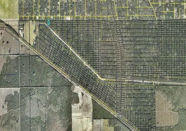 Photo 3 of Land for sale at 463 Division St, Hastings, FL 32145 | MLS# FC321996 | Listing updated on 2026-10-08