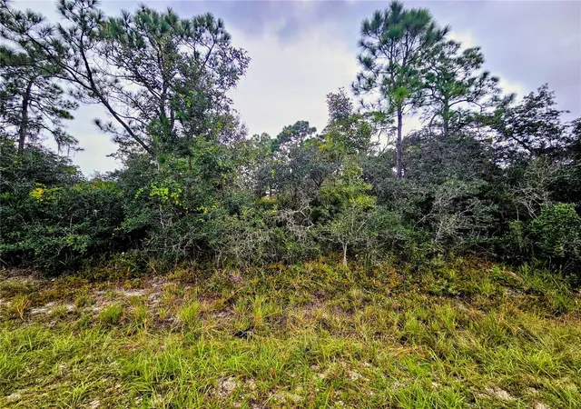 Photo 1 of Land for sale at 105 Bronson St Nw, Lake Placid, FL 33852 | MLS# P4940103 | Listing updated on 2026-10-08