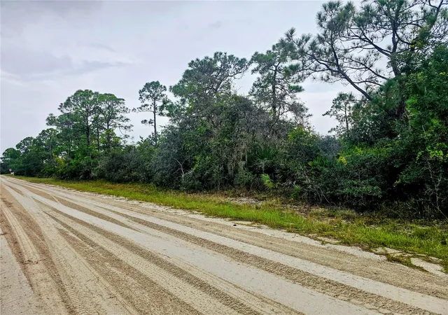 Photo 2 of Land for sale at 105 Bronson St Nw, Lake Placid, FL 33852 | MLS# P4940103 | Listing updated on 2026-10-08