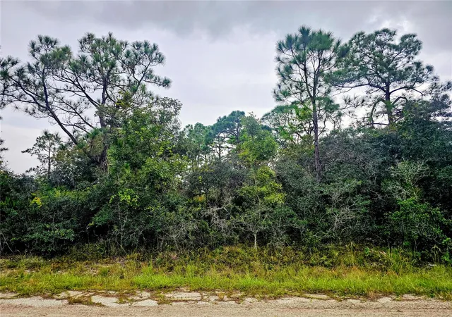 Photo 3 of Land for sale at 105 Bronson St Nw, Lake Placid, FL 33852 | MLS# P4940103 | Listing updated on 2026-10-08