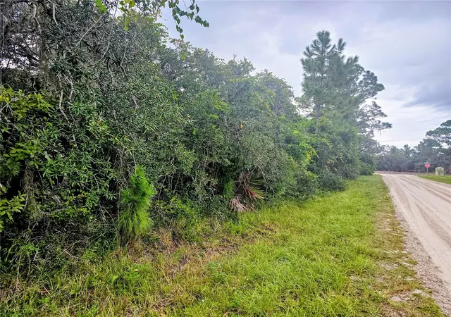 Photo 4 of Land for sale at 105 Bronson St NW, Lake Placid, FL 33852 | MLS# P4940103 | Listing updated on 2026-10-08