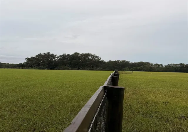 Land for sale at 6851 SE Highway 41, MORRISTON, FL 32668 | MLS# OM733673