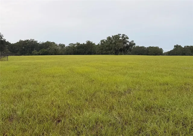 Photo 2 of Land for sale at 6851 SE Highway 41, Morriston, FL 32668 | MLS# OM733673 | Listing updated on 2026-10-09