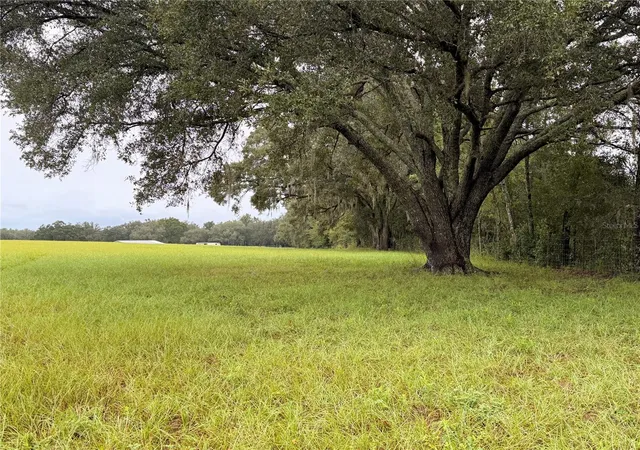 Photo 3 of Land for sale at 6851 SE Highway 41, Morriston, FL 32668 | MLS# OM733673 | Listing updated on 2026-10-09