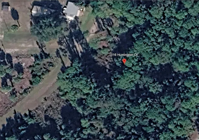 Photo 3 of Land for sale at 116 Huntington Dr, Georgetown, FL 32139 | MLS# O6448254 | Listing updated on 2026-10-09