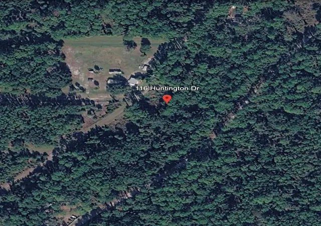 Photo 3 of Land for sale at 116 Huntington Dr, Georgetown, FL 32139 | MLS# O6448254 | Listing updated on 2026-10-09