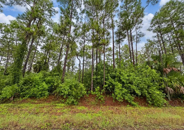 Land for sale at 6th Avenue NE, NAPLES, FL 34120 | MLS# A4708897