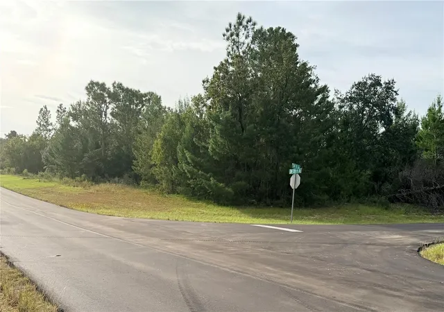 Photo 2 of Land for sale at 0 Sw 139th Place Rd, Ocala, FL 34473 | MLS# OM733684 | Listing updated on 2026-10-08