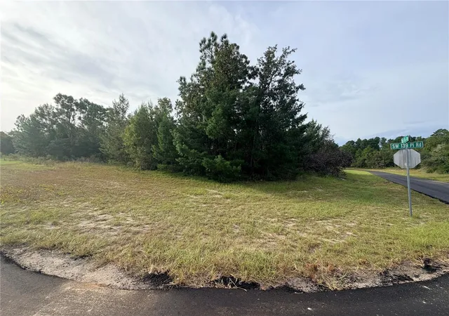 Photo 3 of Land for sale at 0 Sw 139th Place Rd, Ocala, FL 34473 | MLS# OM733684 | Listing updated on 2026-10-08