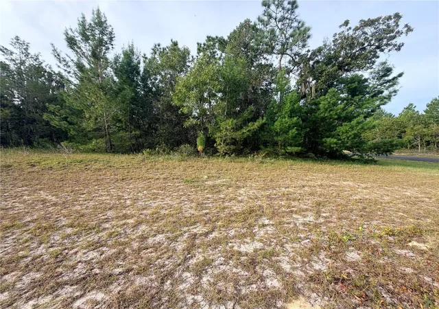 Photo 4 of Land for sale at 0 SW 139th Place Rd, Ocala, FL 34473 | MLS# OM733684 | Listing updated on 2026-10-08