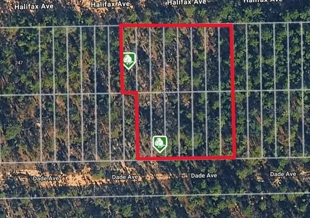 Photo 2 of Land for sale at Halifax Ave, Interlachen, FL 32148 | MLS# D6149090 | Listing updated on 2026-10-08