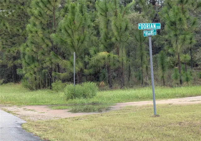 Land for sale at 6443 N Dorian Ter, DUNNELLON, FL 34433 | MLS# OM733687