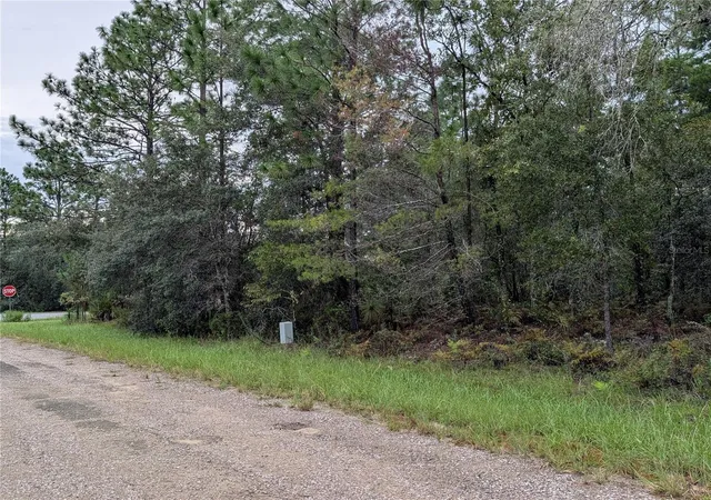 Photo 3 of Land for sale at 6443 N Dorian Ter, Dunnellon, FL 34433 | MLS# OM733687 | Listing updated on 2026-10-08