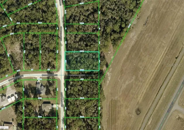 Photo 2 of Land for sale at R01-221-17-3357-5520-0170 Cedarwood Ave, Weeki Wachee, FL 34614 | MLS# A4708913 | Listing updated on 2026-10-08